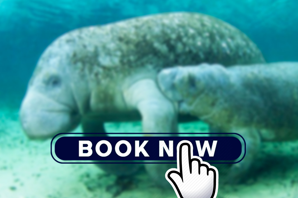 Bocas-de-polochic-tour-adrenalina-tours